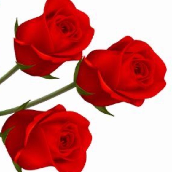 lilrose4022021